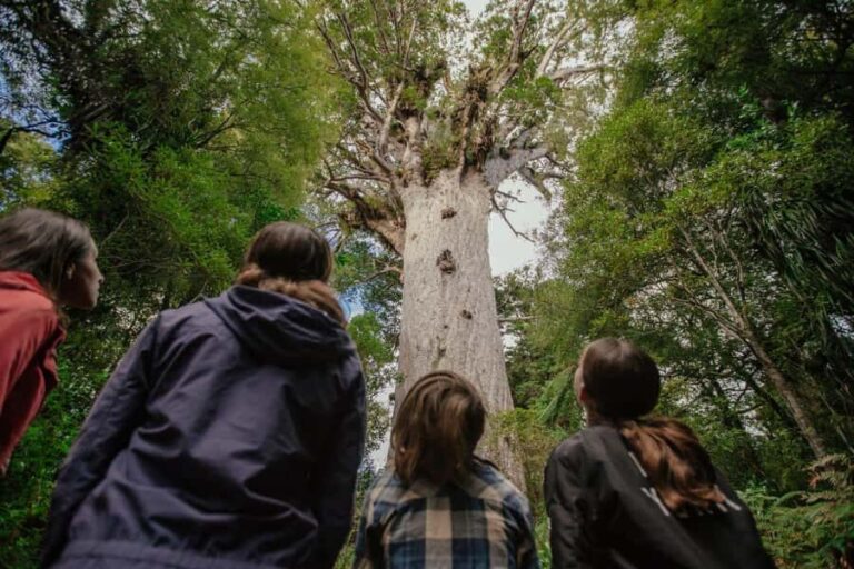 Auckland: 2-Day Bay of Islands Small Group Tour with Cruise - Opononi Beach and Waitangi Treaty Grounds