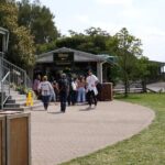 Auckland City Half Day Tour - The Experience: What to Expect