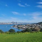 Auckland City Highlights Full Day Tour - What to Expect from the Auckland City Highlights Full Day Tour