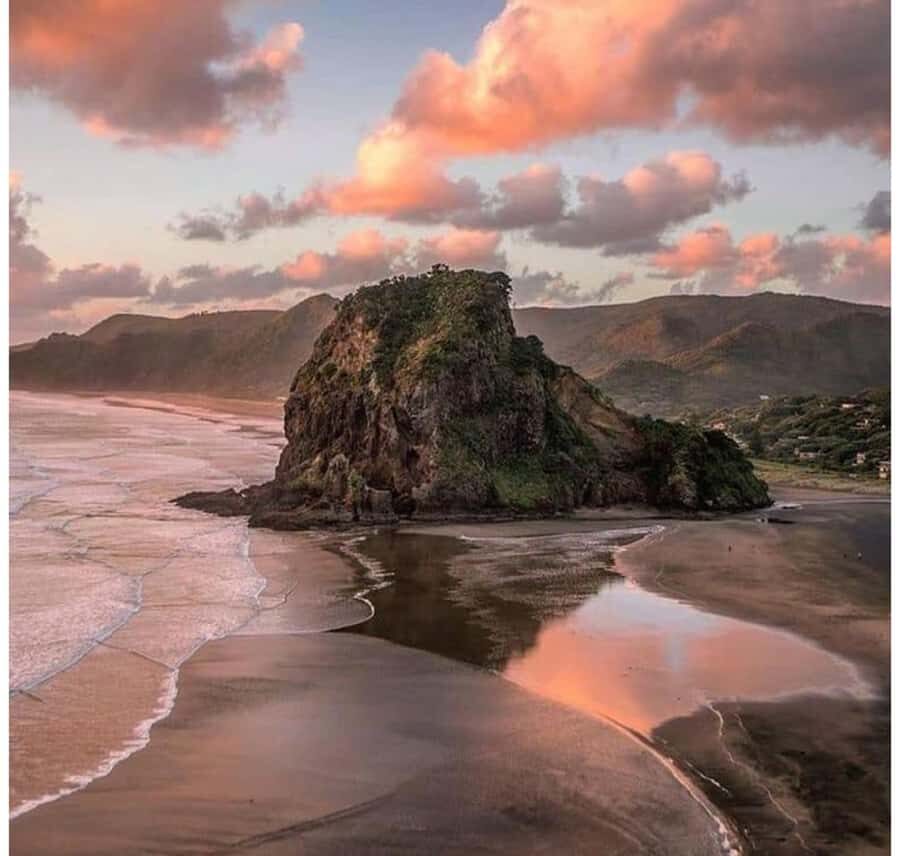 Auckland: Piha Beach, Rainforest, & Mount Eden Private Tour - Transportation and Logistics