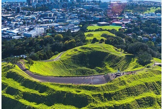 Auckland Private City Highlights Tour 5hrs Sightseeing Experience - Analyzing the Price and Overall Value