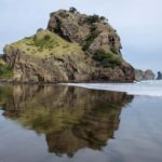 Auckland Private Tour: West Coast Wilderness & Piha Beach - What the Reviews Say