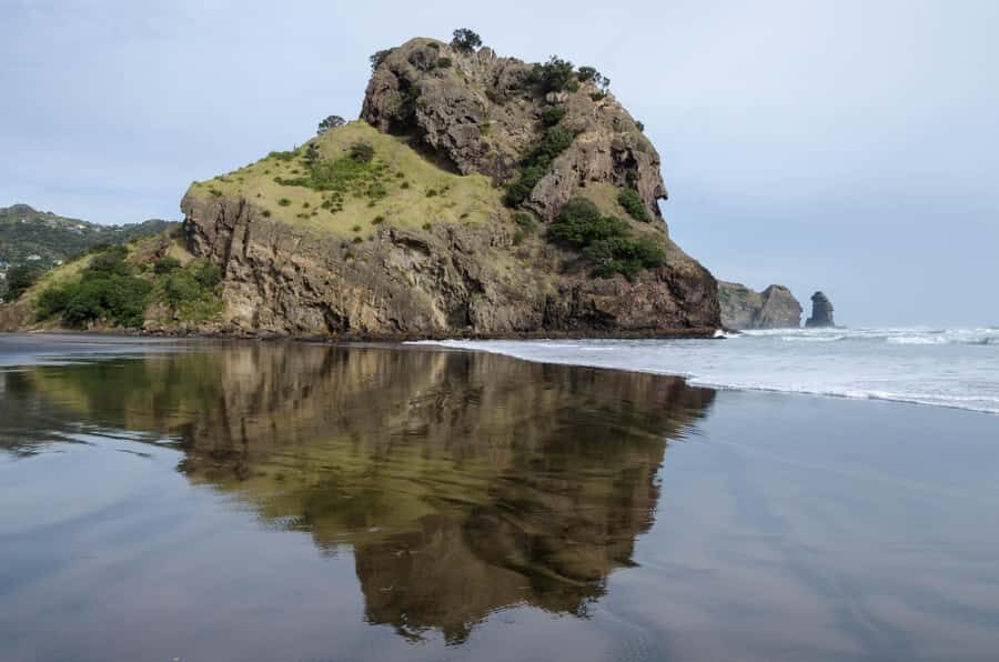 Auckland Private Tour: West Coast Wilderness & Piha Beach - What the Reviews Say
