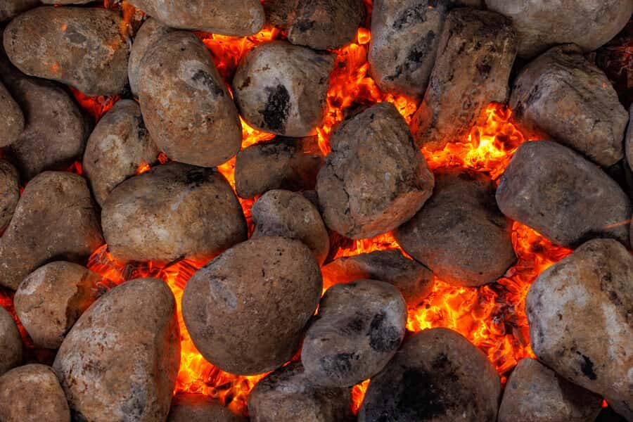 Auckland: Rotorua Tour with Mitai Mori Village & Wai-O-Tapu - Who Is This Tour Best For?