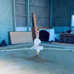 Authentic Sumo Stable Morning Training Experience Osaka - In-depth Breakdown of the Itinerary