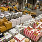 Backstage Pass to Sapporo Central Market - Who Will Benefit Most From This Tour?