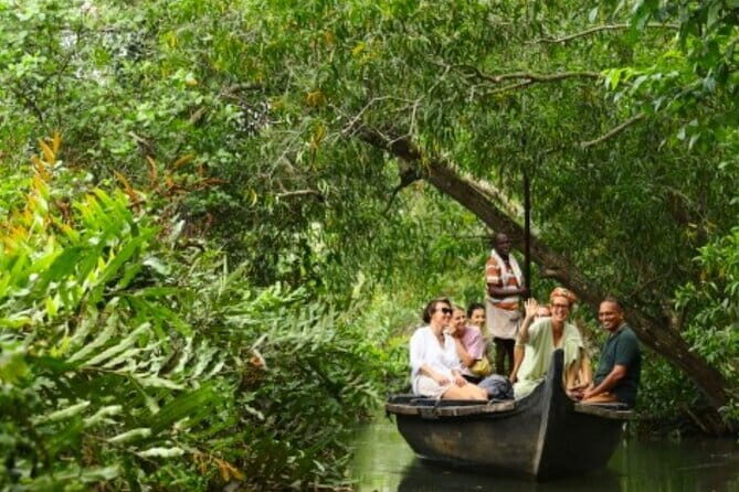 Backwater Tour from Cochin - What the Reviews Say