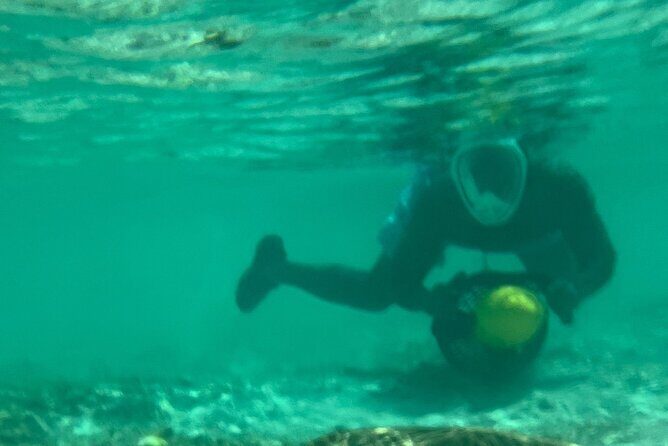 Bahamas Sea Scooter Snorkeling Adventure - FAQ