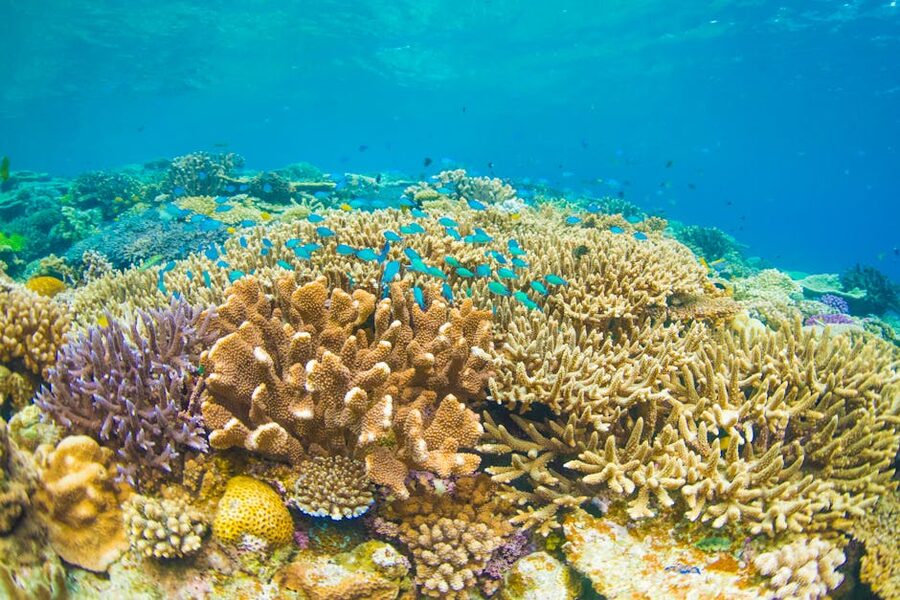 Crystal clear tropical water Bali
