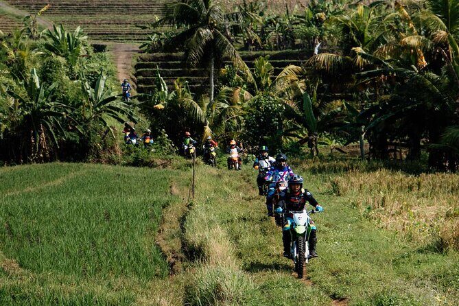 Bali Dirt Bike Motor Cross rice field, jungle and beach track - Summary: Who should consider this Bali dirt bike tour?