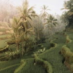 Bali : Full Day Traditional Village & Sightseeing - Practical Details and What to Expect