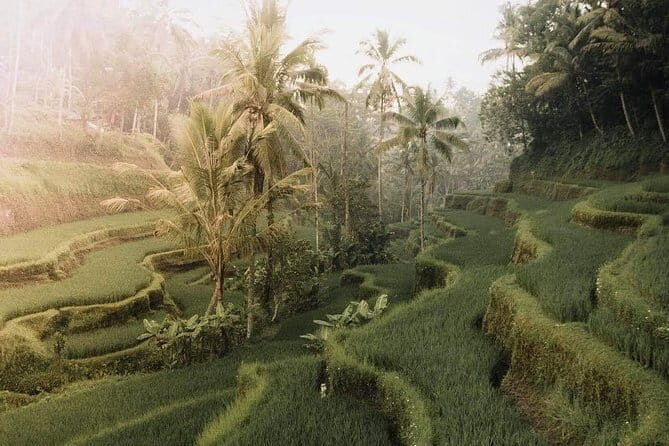 Bali : Full Day Traditional Village & Sightseeing - Practical Details and What to Expect