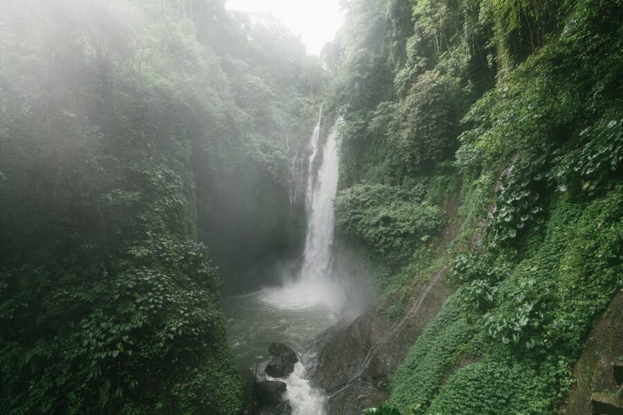 Lush green valley in Bali Indonesia