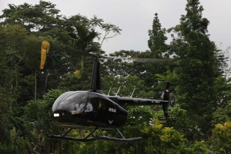 Bali Helicopter Tour: Experience Luxury and Adventure - Who Will Love This Tour?