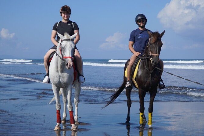 Bali Horse Riding on The Beach Experience - What to Expect from the Bali Horse Riding Experience
