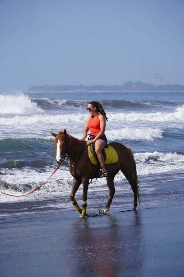 Bali: Horse Riding Sanur Beach Experience with Transport - A Closer Look at the Bali Horse Riding Adventure  