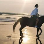 Bali: Horse Riding Tour on Seminyak Beach Include Transport - The Value of This Horseback Ride