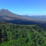 Bali in 1-Day : Rice Terrace, Volcano, Tanah lot - All Inclusive - An In-Depth Look at the Tour Itinerary