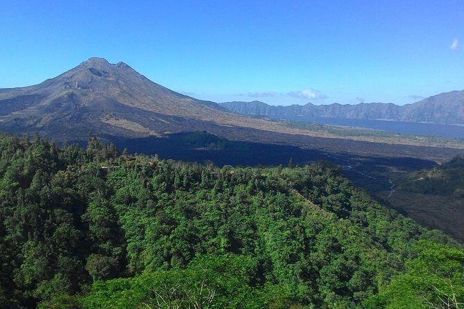 Bali in 1-Day : Rice Terrace, Volcano, Tanah lot - All Inclusive - An In-Depth Look at the Tour Itinerary