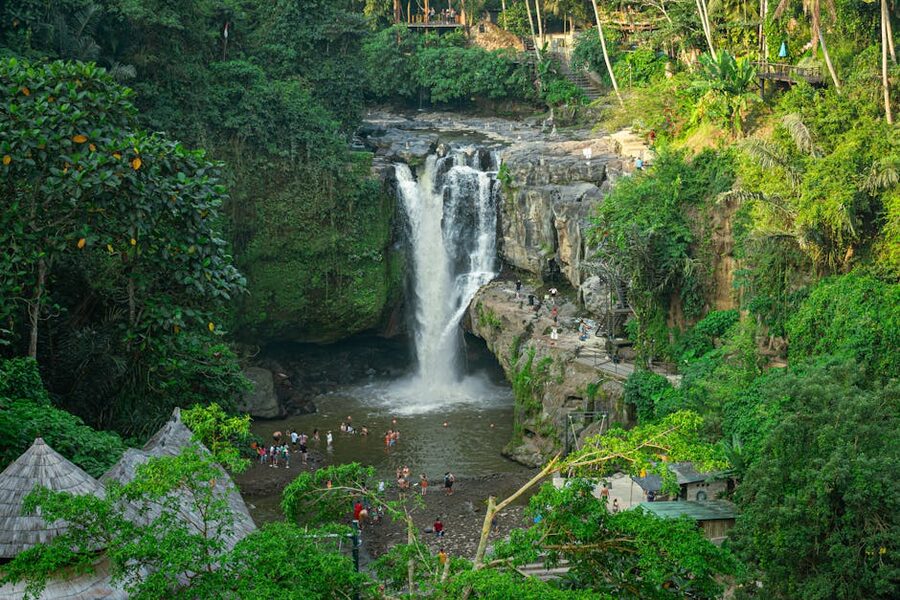 Jungle path through tropical vegetation Bali