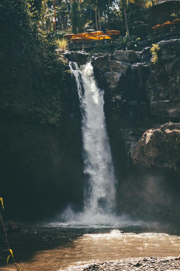 A jungle stream flowing through green moss-covered rocks in central Bali