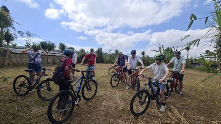 Bali: Kintamani Downhill Bike Tour and Natural Jungle Swim - Final Thoughts: Is It Worth It?