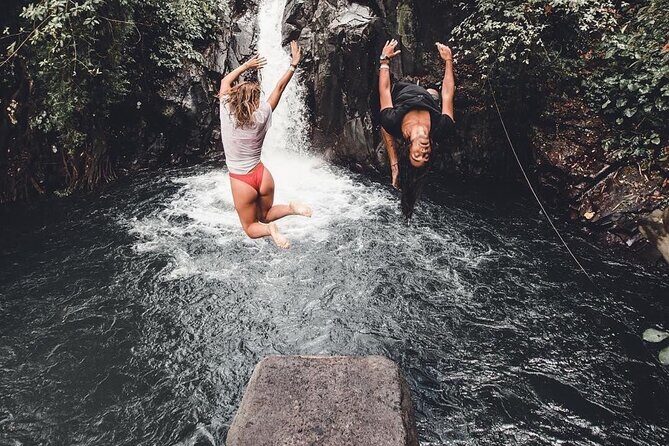 Bali Lovina Dolphin Tour with Sunrice, Snorkeling and Waterfall - Who Will Love This Tour?