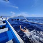 Bali/Lovina: Sunrise Dolphin Snorkel & Waterfall Cliff Jump - What to Expect from Your Bali Adventure