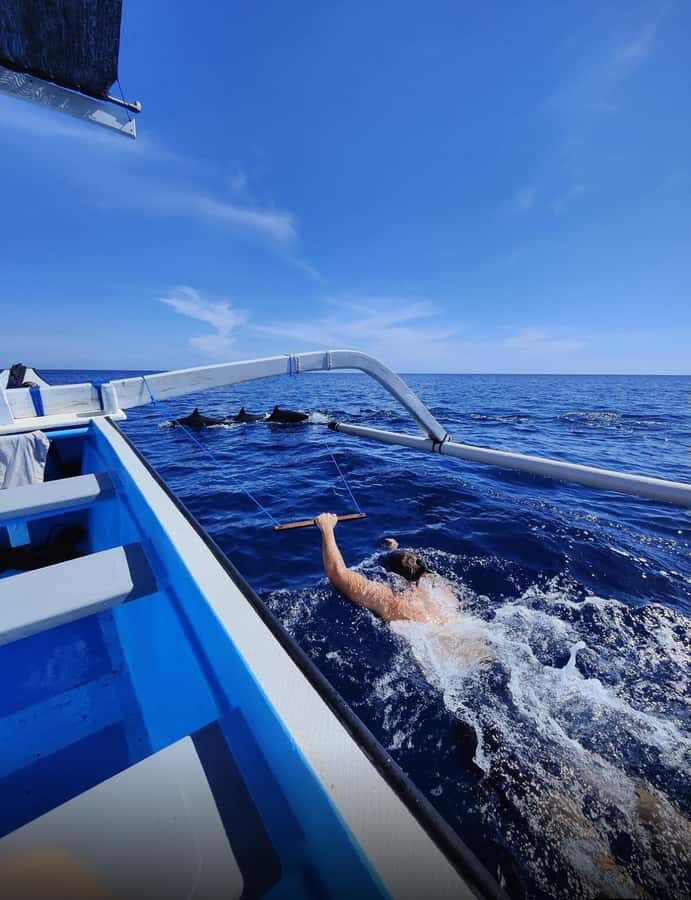 Bali/Lovina: Sunrise Dolphin Snorkel & Waterfall Cliff Jump - What to Expect from Your Bali Adventure