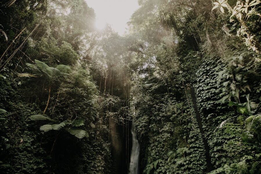 Moss-covered stone steps leading to temple in Bali