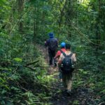 Bali-Munduk: Jungle Trek, Canoe & Bamboo Weaving Class - The Sum Up