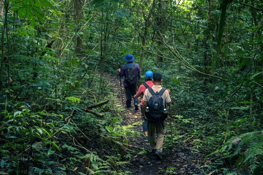 Bali-Munduk: Jungle Trek, Canoe & Bamboo Weaving Class - The Sum Up