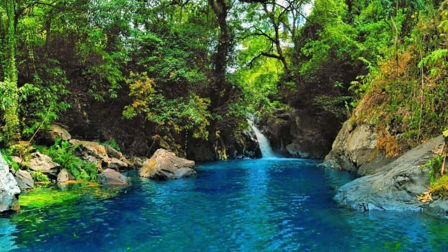 Bali: North Bali Private Tour With Flexible Itenarary - Exploring North Bali: A Closer Look