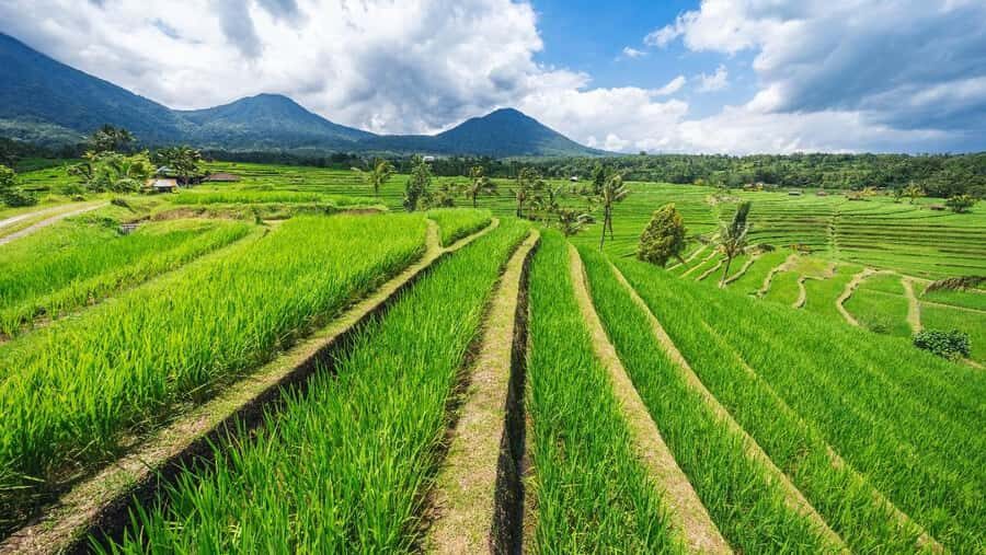 Bali: North Bali Tour with Ulun Danu Beratan Temple - Practicalities, Transport, and Tips