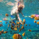 Bali Nusa Penida Snorkeling Tour West - Authentic Insights from Reviewers