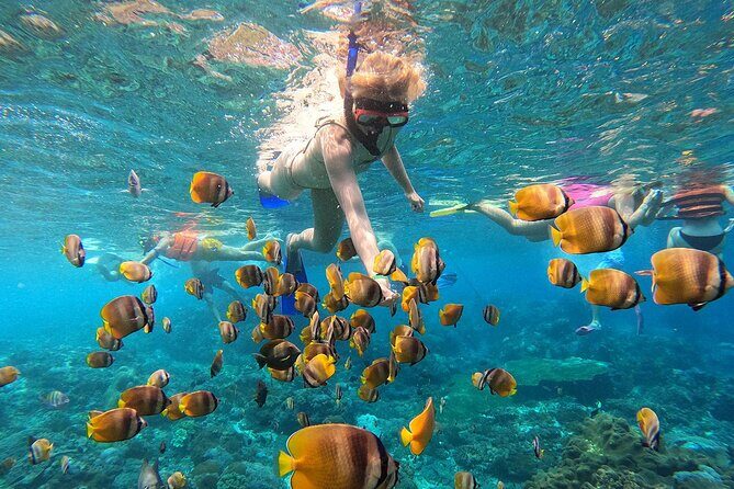 Bali Nusa Penida Snorkeling Tour West - Authentic Insights from Reviewers
