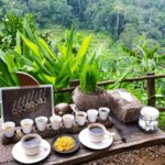 Bali private : Palm Reading Water Temple, rice terrace - Practical Details & Tips for the Tour