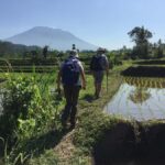 Bali: Sidemen Trekking with Besakih Temple Tour/Rafting - Practical Details and What to Know Before You Go