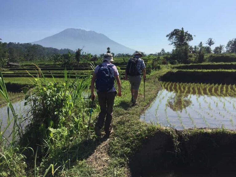 Bali: Sidemen Trekking with Besakih Temple Tour/Rafting - Practical Details and What to Know Before You Go