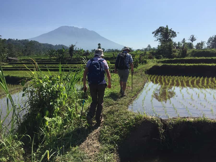 Bali: Sidemen Trekking with Besakih Temple Tour/Rafting - Practical Details and What to Know Before You Go