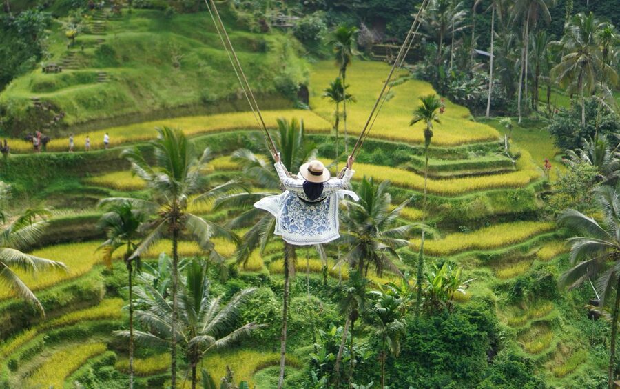 Bali jungle swing