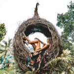 Bali Swing Experience and Ubud Tour - Who Should Consider This Tour?