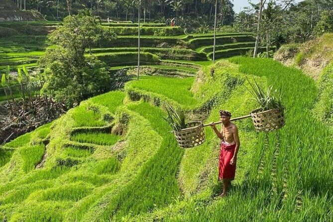 Bali Swing, Monkey Forest & Ubud Waterfalls Tour - Practical Details and What to Expect