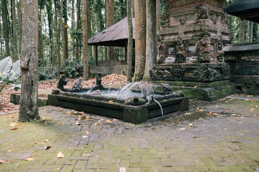 Temple steps in Bali surrounded by jungle