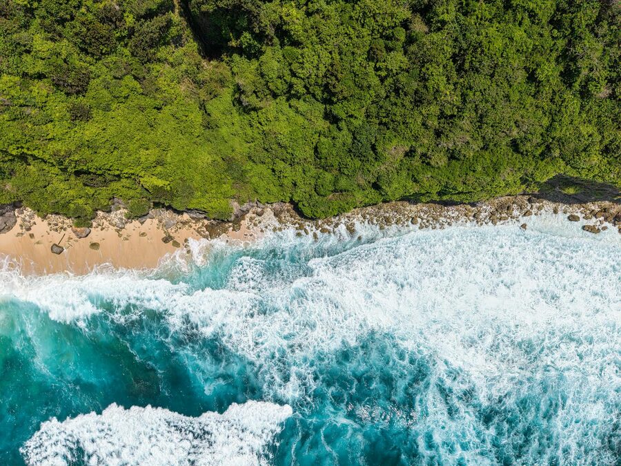 Rolling tropical landscape of Bali with palm trees and green hills