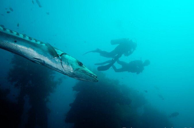 Bali: Tulamben Scuba Diving at USS Liberty Shipwreck - What Makes This Tour Stand Out