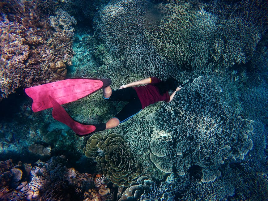 Underwater coral reef Bali