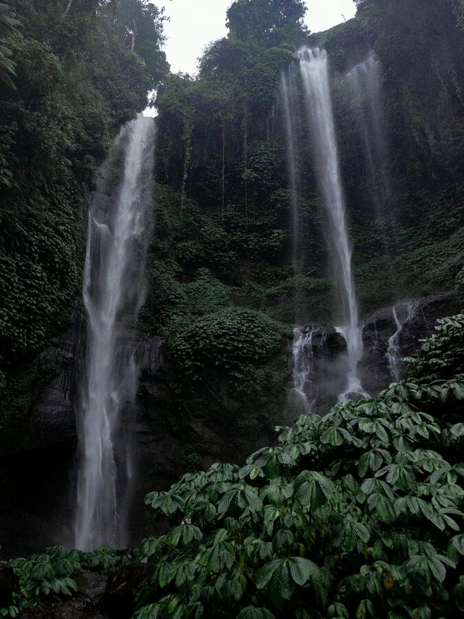 Bali jungle waterfall