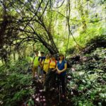 Bali:Explore 5 Waterfalls Trekking Tour in Munduk Bali - Transportation, Flexibility, and Value