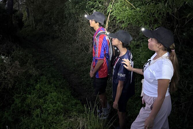 Bali's Ultimate Combo 4x4 Private Tour - Using a Purpose-Built Vehicle